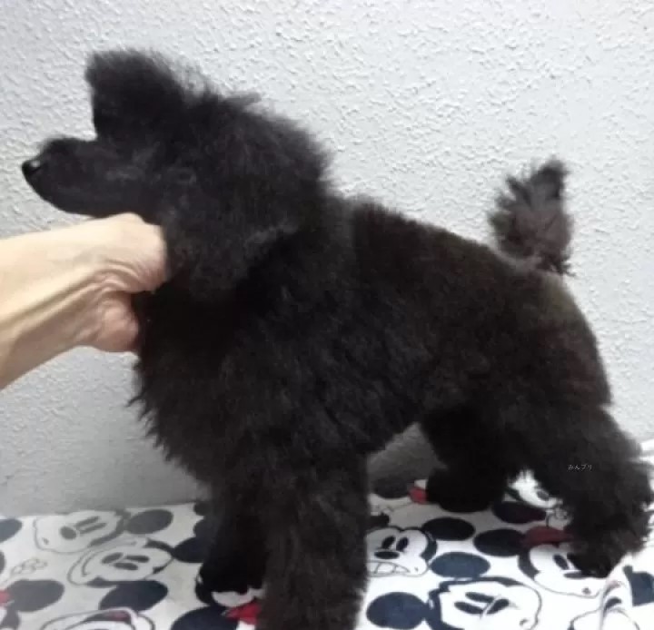 6/18生まれ とても可愛い女の子