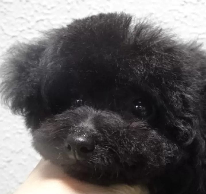 8/11生まれ とても可愛い女の子