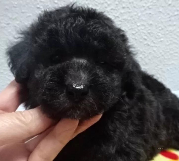 🌟早期ご予約限定特別価格🌟