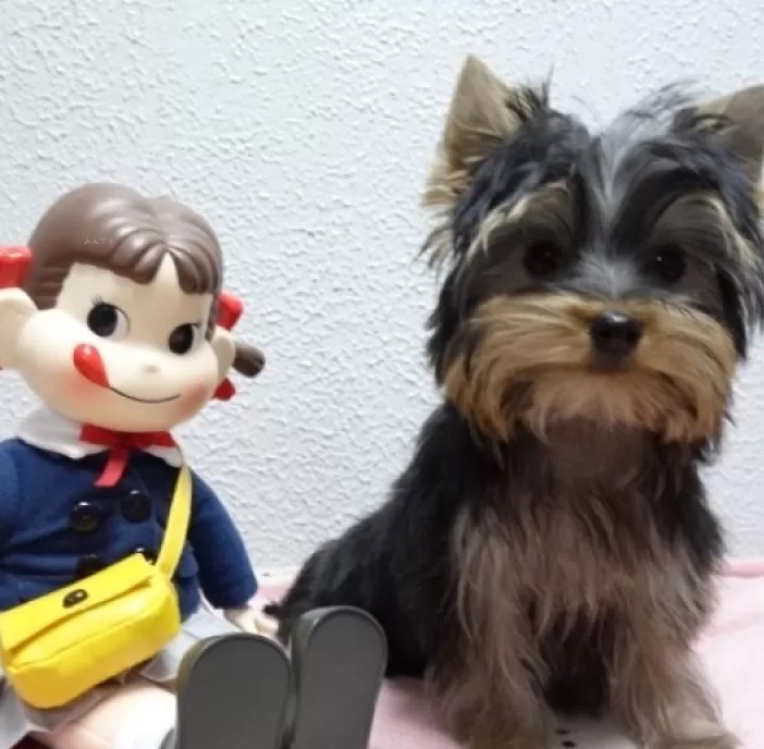 11/13生まれ 可愛い女の子